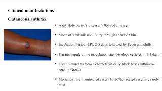 Anthrax Bacillus anthracis [upl. by Emmer]