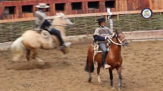 69° CAMPEONATO NACIONAL DE RODEO  CHAMPION DE CHILE DÍA UNO [upl. by Almond585]