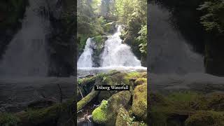 Triberg waterfall 💦  Germany [upl. by Nahum209]