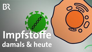 Erfolge des Impfens heute und damals kleine Impfstoffkunde  Geschichte  BR [upl. by Armillia]