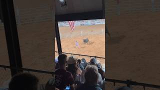 Bull Fighter 🤠🐂➰bullfightersonly bfo sportsdew90 sjc bullfighter bull rodeo prca prorodeo [upl. by Eiresed]