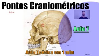 Pontos Craniométricos  Parte 7  Teórica  Anatomia Humana [upl. by Gerstner167]