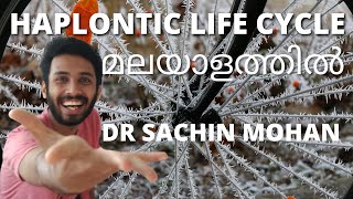 haplontic life cycle  malayalam  plant kingdom  class 11  plus one [upl. by Ardnuyek]