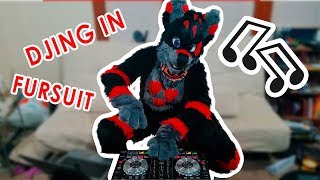 DJING IN FURSUIT [upl. by Hourihan]