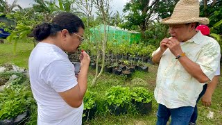 Farm Tour Harvest sa boong 14 hectares pinamimigay lang sa mga kaibigan [upl. by Ahscrop]