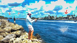 Everyone Hooked GIANTS At This South Florida Jetty [upl. by Daggna]