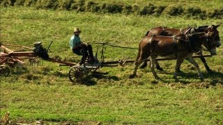 Pennsylvanias Amish Country [upl. by Cilurzo834]