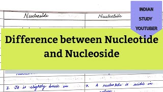 Difference between Nucleoside and Nucleotide 11th Biology Biomolecules [upl. by Wheaton]