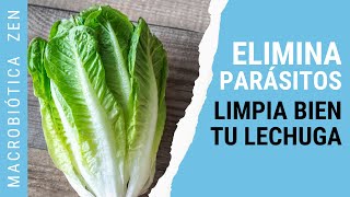 Cómo DESPARASITARTE y LAVAR una LECHUGA 🥬 [upl. by Ailugram]