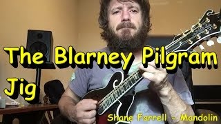 The Blarney Pilgrim Jig  Mandolin [upl. by Ahtael]