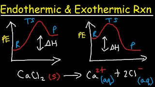 Endothermic and Exothermic Reactions [upl. by Ennairb758]