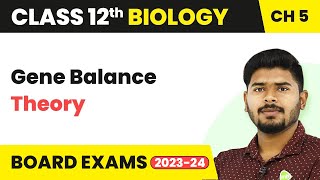 Class 12 Biology Chapter 5  Gene Balance Theory  Principles of Inheritance and Variation 202223 [upl. by Anairda]