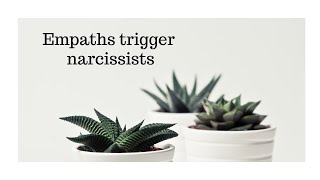 Why do narcissists get triggered by empaths [upl. by Doerrer]