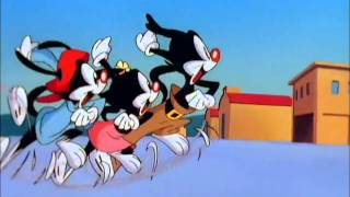 Animaniacs Season 1 Episode 1 [upl. by Culosio]