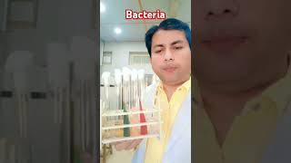 Identification of Bacteria Microbiology Bacteriology Biochemical TSI Citrate Urease SIM [upl. by Meeka78]