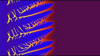 Dendritic solidification in a Fe011C wt steel [upl. by Letsyrk]