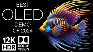 BEST OLED DEMO OF 2024  DOLBY VISION 12K HDR 120fps [upl. by Nylirej]