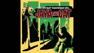 Jaya the cat  Night Bus [upl. by Westbrook]