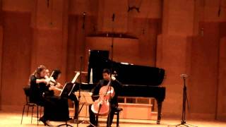 Beethoven Archduke trio III mov [upl. by Francene]