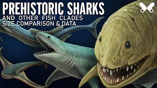 SHARKS and other PREHISTORIC FISH size comparison and data [upl. by Arikaahs]