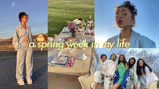 a week in my life VLOG  where im moving plans Dixons bday first picnic with friends [upl. by Ydospahr962]