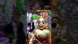 SOBAR PRIYO GOPAL shortvideo cute laddu [upl. by Angle225]