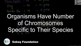 Organisms Have Number of Chromosomes Specific to Their Species Biology Lecture  Sabaqpk [upl. by Lewls677]