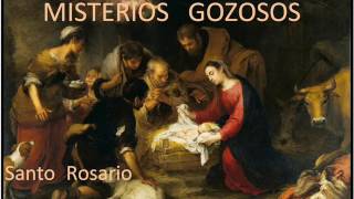 MISTERIOS GOZOSOS EN DIVINA VOLUNTAD [upl. by Selima]