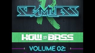 How To Bass Vol 2 Bass Harder Sample Pack [upl. by Moncear664]