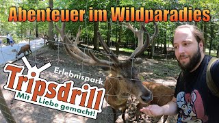 Wildparadies Tripsdrill  Ausflugstipps in BadenWürttemberg  VLOG [upl. by Ainival]