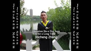 Jincheng Zhang  Emission Have Not Seen You for a Long Time Official Audio [upl. by Stephanus]