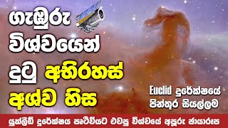 Euclid දුරේක්ෂය ලබාගත් විශ්වයේ අපූරු පින්තූර  First Images of Euclid Telescope [upl. by Anir]