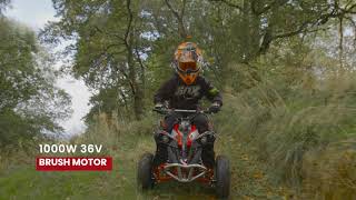 Renegade RaceX 36V 1000W Electric Quad Bike [upl. by Amie]