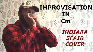 Improvisation in Cm  Indiara Sfair harmonica cover [upl. by Eitnom]