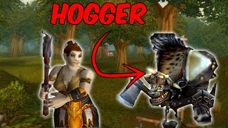 Hogger is BRUTAL in Season of Discovery [upl. by Arted]