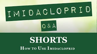 Quick Overview on How to Use Imidacloprid shorts [upl. by Odranar192]