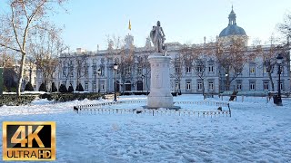 WALK NEVADA PLAZA VILLA DE PARIS TRIBUNAL SUPREMO  MADRID  ESPAÑA🇪🇸 FILOMENA DIA 6 [upl. by Obelia]