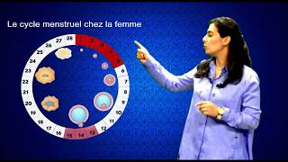 Activité cyclique de lovaire et de lutérus Cycle menstruel [upl. by Akinohs]