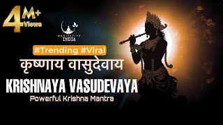 KRISHANAYA VASUDEVAYA 108 Times  POWERFUL Krishna Mantra for Inner Peace  Listen for a Sound Sleep [upl. by Vilma594]