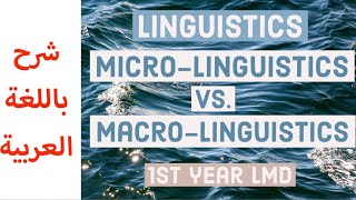 Linguistics Macrolinguistics vs Microlinguistics شرح باللغة العربية [upl. by Amarette501]