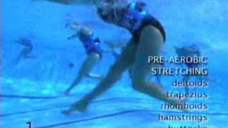 WaterGym FREE WATER AEROBICS EXERCISES LIVE VIDEOS2 [upl. by Kiran915]