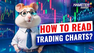 Investing for beginners How to read trading charts ⚡️ Hamster Academy [upl. by Sibilla]