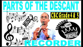 Parts of a Descant Recorder Explained [upl. by Anikes]