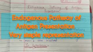 Endogenous Pathway of Antigen Presentation [upl. by Annawyt]