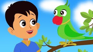 Main Tota Main Tota  Hindi Kids Rhyme  Nursery Songs In Hindi  मैं तोता मैं तोता  Hindi Rhyme [upl. by Alleuqahs]