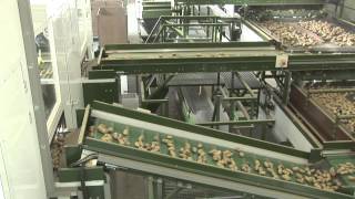 Schouten Sorting Equipment  Sorteerlijn Interseed Potatoes 2012 [upl. by Erdda160]