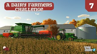 Beans  Money  A Dairy Farmers Challenge  Ep 7  Ashton Corners  TimeLapse [upl. by Binnings493]