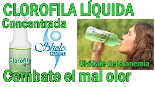 ☻CLOROFILA LÍQUIDA CONCENTRADA DE SHELÓ NABEL☻ [upl. by Eive]