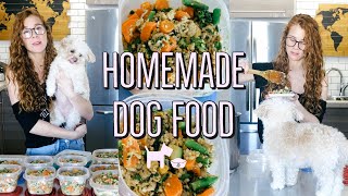 HOMEMADE  HEALTHY DOG FOOD RECIPE  COOKING FOR YOUR DOG🐶 [upl. by Cornell456]