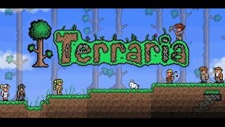 Как создать сервер Terraria в Hamachi [upl. by Akehsar]